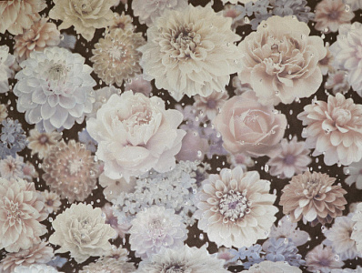 Обои Elysium Серия Каскад Е105308